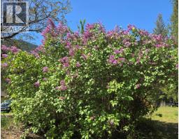 3918 Passmore Upper Road, Passmore, BC V0G2J0 Photo 88