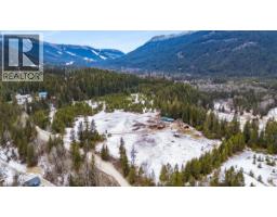 3918 Passmore Upper Road, Passmore, BC V0G2J0 Photo 99