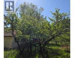 3918 Passmore Upper Road, Passmore, BC V0G2J0 Photo 89