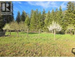 3918 Passmore Upper Road, Passmore, BC V0G2J0 Photo 84