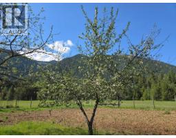 3918 Passmore Upper Road, Passmore, BC V0G2J0 Photo 85