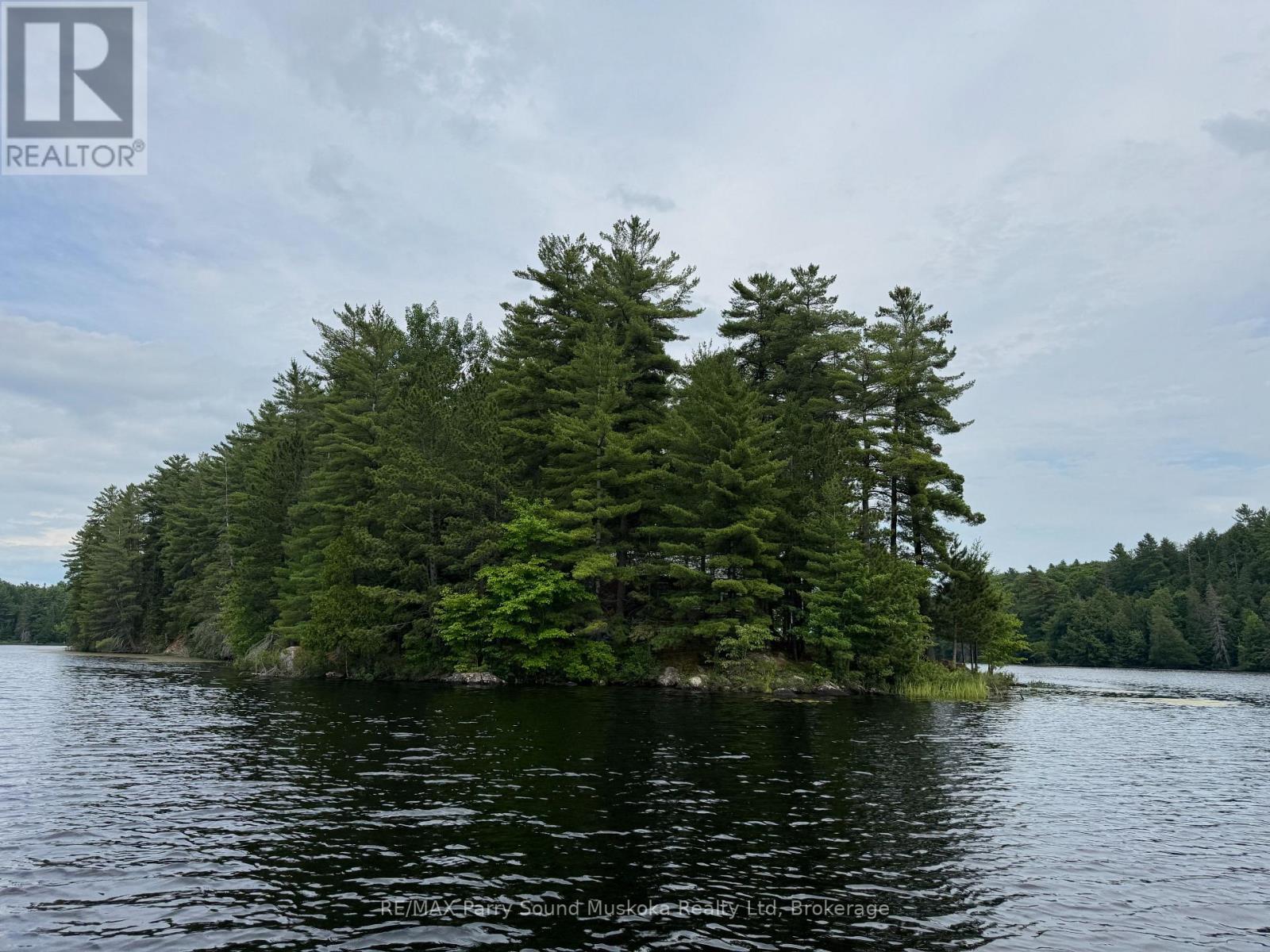 2 WOLF RIVER - 6