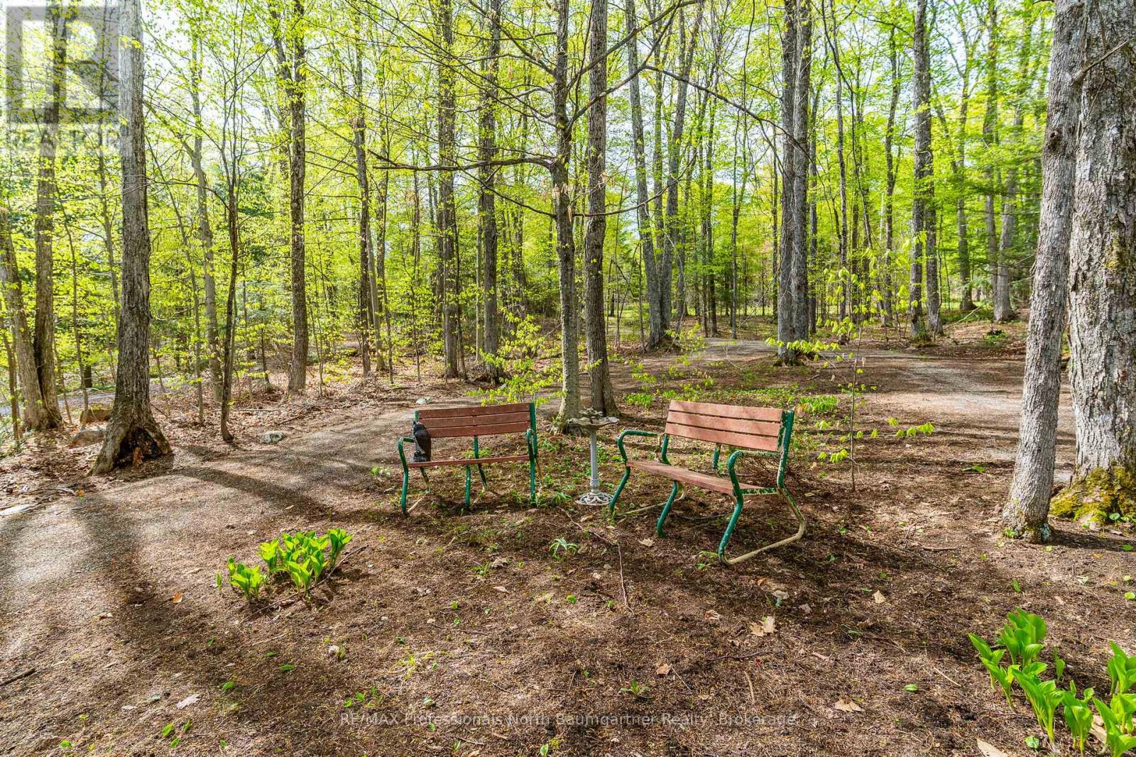 1066 BUCKSKIN LAKE ROAD - 28
