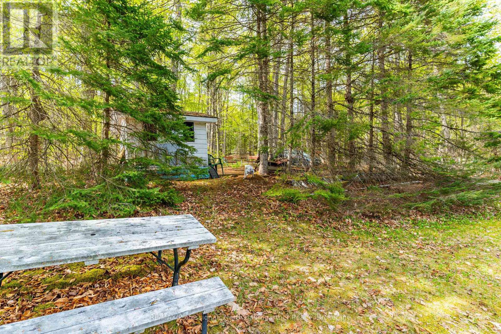 1066 BUCKSKIN LAKE ROAD - 30
