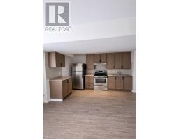 Basement Apartment - 109 Romance Drive, Richmond Hill, ON L4S2R9 Photo 11