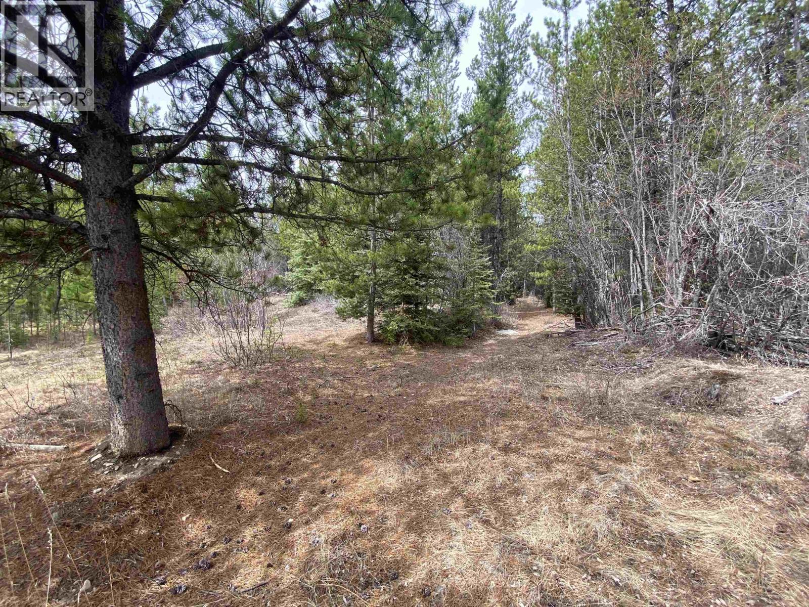 29205 BINTA MAIN FOREST SERVICE ROAD - 27