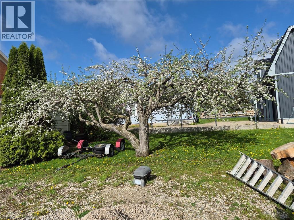 9 FLORAPINE Road - 29