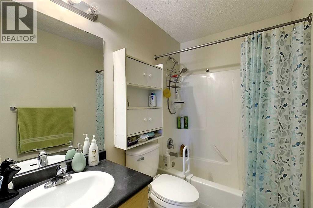53509B Range Road 171 — photo 21