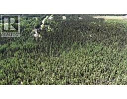 53509b Range Road 171, Rural Yellowhead County, AB T7E3L1 Photo 43