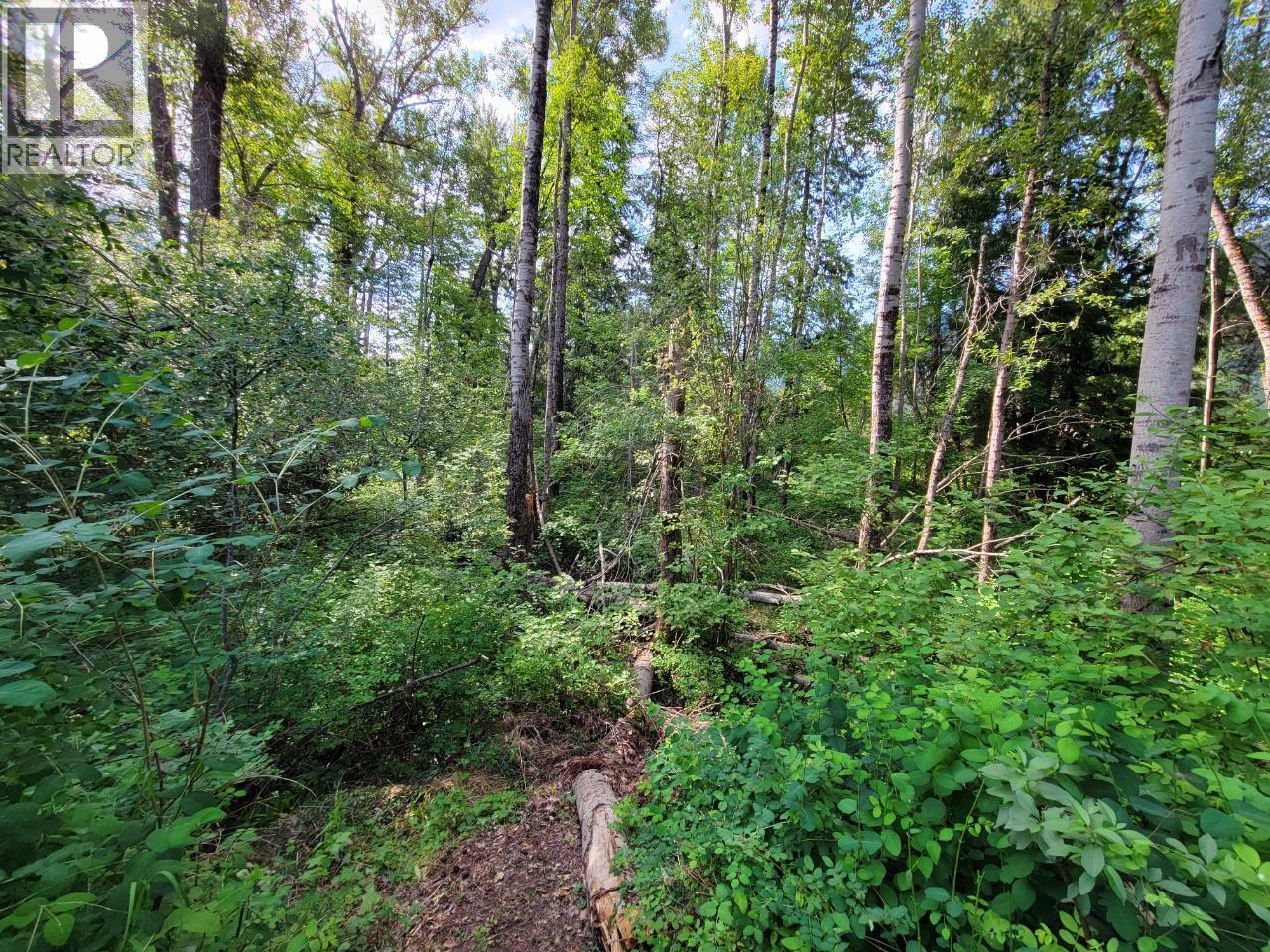 Lot 1 PASSMORE OLD Road, Passmore — photo 3