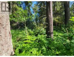 Lot 1 Passmore Old Road, Passmore, BC V0G2J0 Photo 11