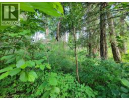 Lot 1 Passmore Old Road, Passmore, BC V0G2J0 Photo 24
