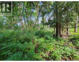 Lot 1 Passmore Old Road, Passmore, BC V0G2J0 Photo 25