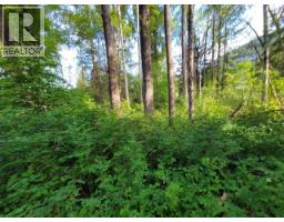 Lot 1 Passmore Old Road, Passmore, BC V0G2J0 Photo 14