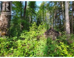 Lot 1 Passmore Old Road, Passmore, BC V0G2J0 Photo 22