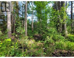Lot 1 Passmore Old Road, Passmore, BC V0G2J0 Photo 6