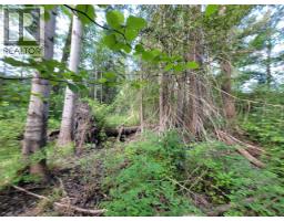 Lot 1 Passmore Old Road, Passmore, BC V0G2J0 Photo 15