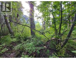 Lot 1 Passmore Old Road, Passmore, BC V0G2J0 Photo 23