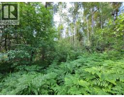 Lot 1 Passmore Old Road, Passmore, BC V0G2J0 Photo 17