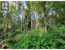 Lot 1 Passmore Old Road, Passmore, BC V0G2J0 Photo 18