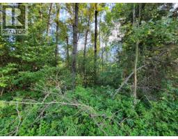 Lot 1 Passmore Old Road, Passmore, BC V0G2J0 Photo 16