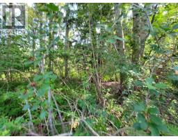 Lot 1 Passmore Old Road, Passmore, BC V0G2J0 Photo 20