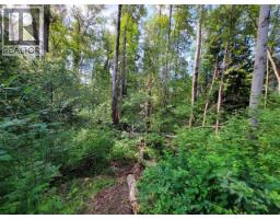 Lot 1 Passmore Old Road, Passmore, BC V0G2J0 Photo 19