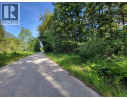 Lot 1 Passmore Old Road, Passmore, BC V0G2J0 Photo 7