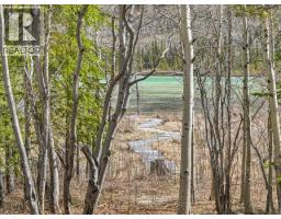Lot 1197 Spirit Lake, Whitehorse South, YT Y0B1B0 Photo 22