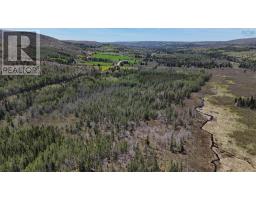 Highway 252, Nevada Valley, NS B0E1X0 Photo 9