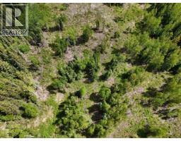 3880 Birch Hill Road, Quesnel, BC V2J6T2 Photo 10