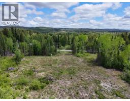 3880 Birch Hill Road, Quesnel, BC V2J6T2 Photo 11