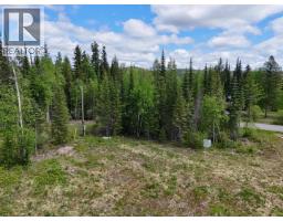 3880 Birch Hill Road, Quesnel, BC V2J6T2 Photo 12