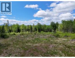 3880 Birch Hill Road, Quesnel, BC V2J6T2 Photo 13