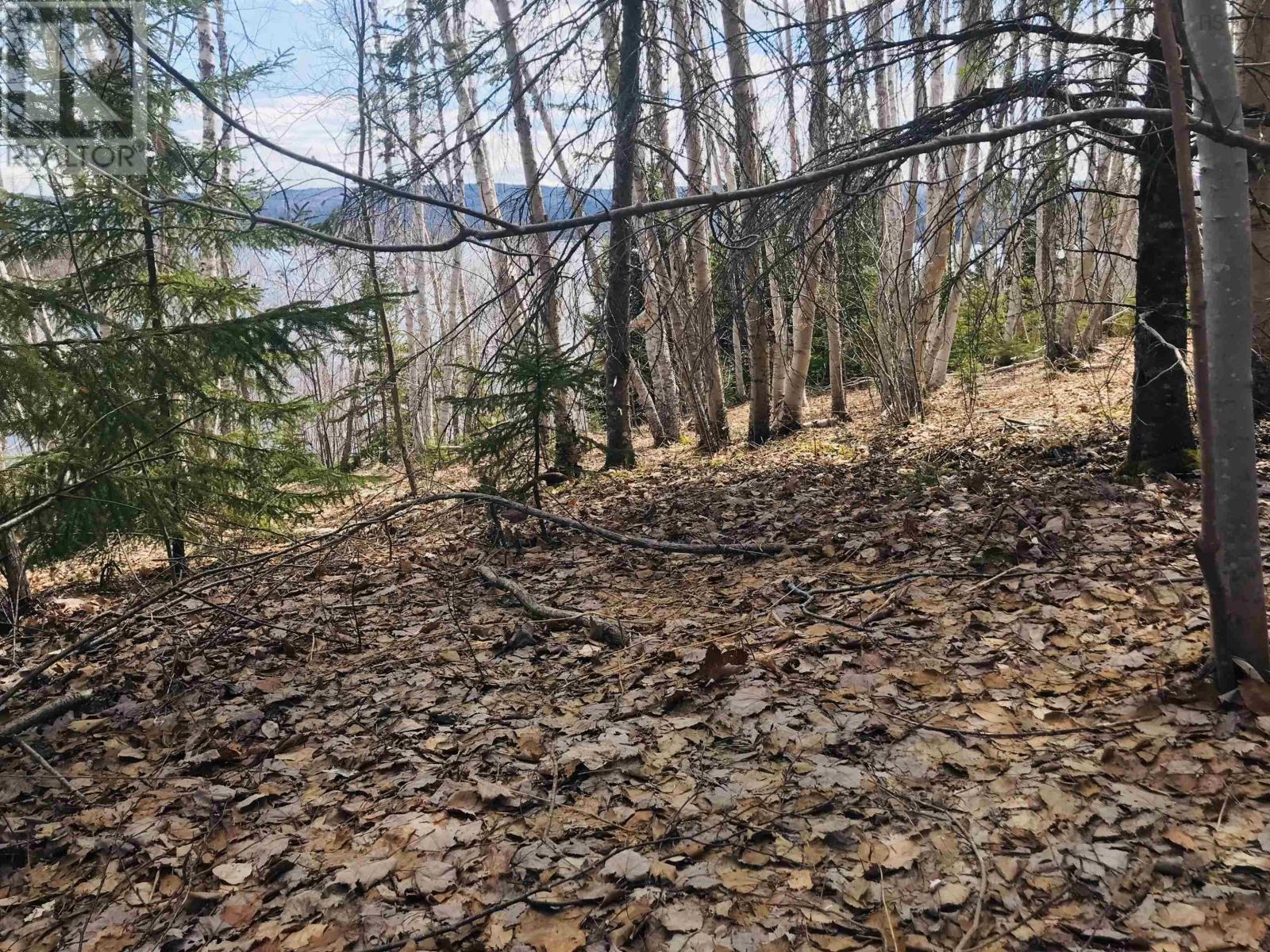 Property 13 of 28 of Cabot Trail / Rooster Hill