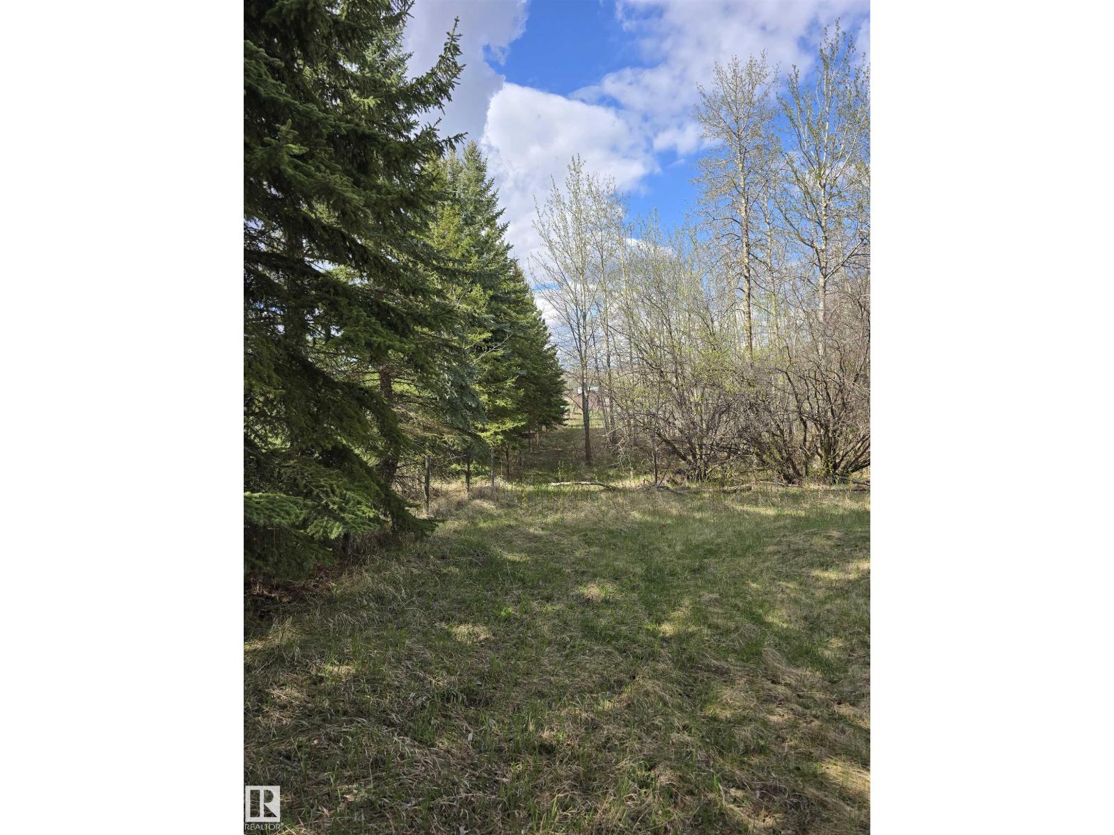 53559 Range rd 220 — photo 9
