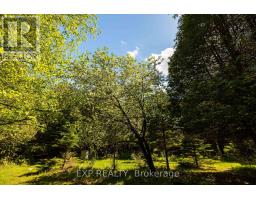 1493 5th Concession B Dalhousie Road, Lanark Highlands, ON K0G1K0 Photo 37