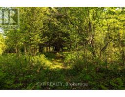 1493 5th Concession B Dalhousie Road, Lanark Highlands, ON K0G1K0 Photo 40