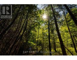 1493 5th Concession B Dalhousie Road, Lanark Highlands, ON K0G1K0 Photo 41