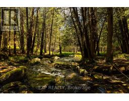 1493 5th Concession B Dalhousie Road, Lanark Highlands, ON K0G1K0 Photo 42