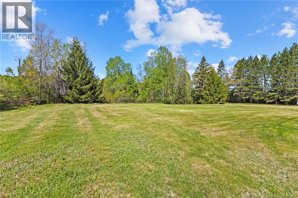 24 Abernethy Road - 41