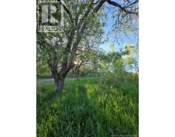 328 Drurys Cove Road, Drurys Cove, NB E4E3L6 Photo 13