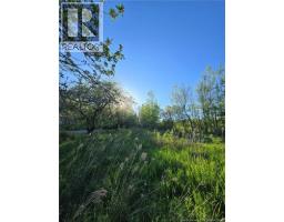 328 Drurys Cove Road, Drurys Cove, NB E4E3L6 Photo 17