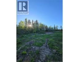328 Drurys Cove Road, Drurys Cove, NB E4E3L6 Photo 19