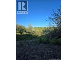 328 Drurys Cove Road, Drurys Cove, NB E4E3L6 Photo 26
