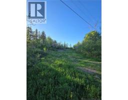 328 Drurys Cove Road, Drurys Cove, NB E4E3L6 Photo 27