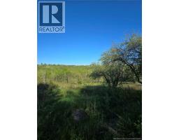 328 Drurys Cove Road, Drurys Cove, NB E4E3L6 Photo 28
