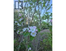 328 Drurys Cove Road, Drurys Cove, NB E4E3L6 Photo 30