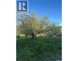 328 Drurys Cove Road, Drurys Cove, NB E4E3L6 Photo 35