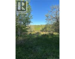 328 Drurys Cove Road, Drurys Cove, NB E4E3L6 Photo 36